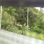 Manuel Antonio Paterson Martinez - @manuelpaterson - Instagram