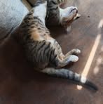 Manuel Pateña - Facebook