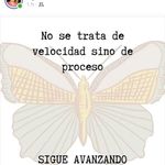 manuel pedrozo - @pedrozo.manuel - Instagram