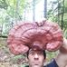 Manuel Pelletier - Facebook