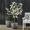 user9156124613800 - @manuelpettych1zee - TikTok