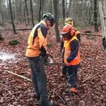 Manuel Pfeiffer - @manuel_pfeiffer_baum - Instagram