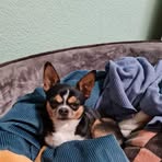 Manuela Pfeiffer - Facebook