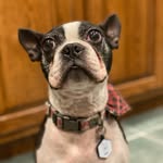 Manny “Manuel” Phelps - @mannythesuperflyboston - Instagram
