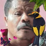 Manuel Phillips - @manuel.phillips.7796 - Instagram