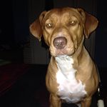Manuel Pimenta - @manuel.pimenta - Instagram