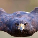 Manuel Pimenta - @manuel.pimenta.167 - Instagram