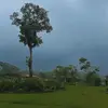 Manuel Pintado - @manuel.pintado26 - TikTok