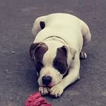 Manuel Placencia - @manuel.placencia1 - Instagram