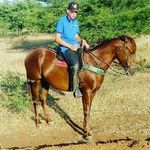 Manuel Pontes - @manoel_filho123 - Instagram