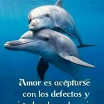 manuel quinteros - @noche_lluviosa911 - Instagram