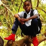 Manuel Ramalho - @ramalho.manuel - Instagram