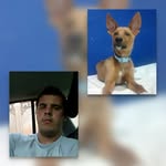 Manuel Ramalho - @manuel.ramalho.98 - Instagram