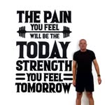 Manuel Ramalho - @velho.ramalho - Instagram