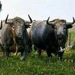 Manuel Ramilo de la Torre - @mr2891246 - Instagram