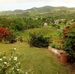 Manuel Resto - Facebook