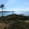 José Manuel Ribot - @abueloribot567 - TikTok