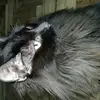 emanuelrilo - @emanuelrilo - TikTok