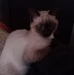 Manuel Robayo - Facebook