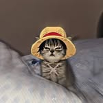 Manuel Robayo - @manuel.robayo.5030 - Instagram