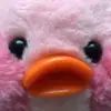 manuela robayo - @manuela.robayo5 - TikTok