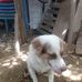 Manuel Robles - Facebook