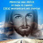 manuel rodolfo - @manuel.rodolfo - Instagram