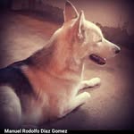 Manuel Rodolfo Diaz Gomez - @manuel_rodolfo_diaz26 - Instagram