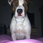 Manuel Rossi - @manuel.rossi.393 - Instagram