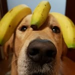 Manuel Rouco - @manurouco69 - Instagram