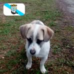 Manuel Rouco - Facebook
