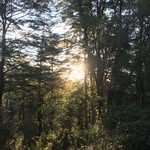 Manuel Rozas Poblete - @manuel_rozas_poblete - Instagram