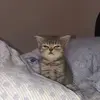 emanuelrubi21 - @emanuelrubi21 - TikTok