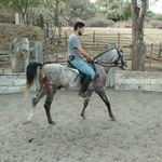 Manuel rueda parado - @pmanuelrueda - Instagram