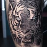 Manuel Russo - @manuelrussotattoo - Instagram