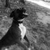 Manuel Russo - Facebook