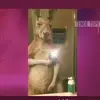 Emmanuel Salema - @emmanuel.salema - TikTok