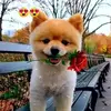 Manuel Sam - @manuel.sam60 - TikTok