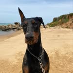 Manuel santamaria - @msblanko - Instagram
