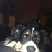 Manuel Schmitz - Facebook