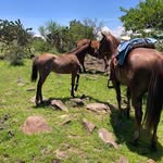 Manuel Sida - @manuelsida58 - Instagram