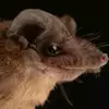 Manuel Silvas - @manuel.silvas0 - TikTok