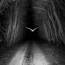 Manuel Silver - Facebook