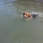 Manuel soza espinoza - @manuelsozaespinoza - Instagram