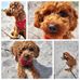 Manuela Spinler - Facebook