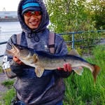 manuel - @manuel_streetfishing - Instagram