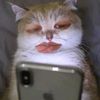 ManuelStrong - @francxzsnz0 - TikTok