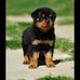 Manuel Suñiga - Facebook