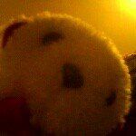 Manuel swift ie - @thinguirylovesswift - Instagram