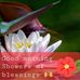 Manuel Herman Sylvester - Facebook